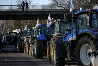 Французские фермеры напали на дом сенатора Франсуа Патриата и повесили на его ворота мертвых кабанов